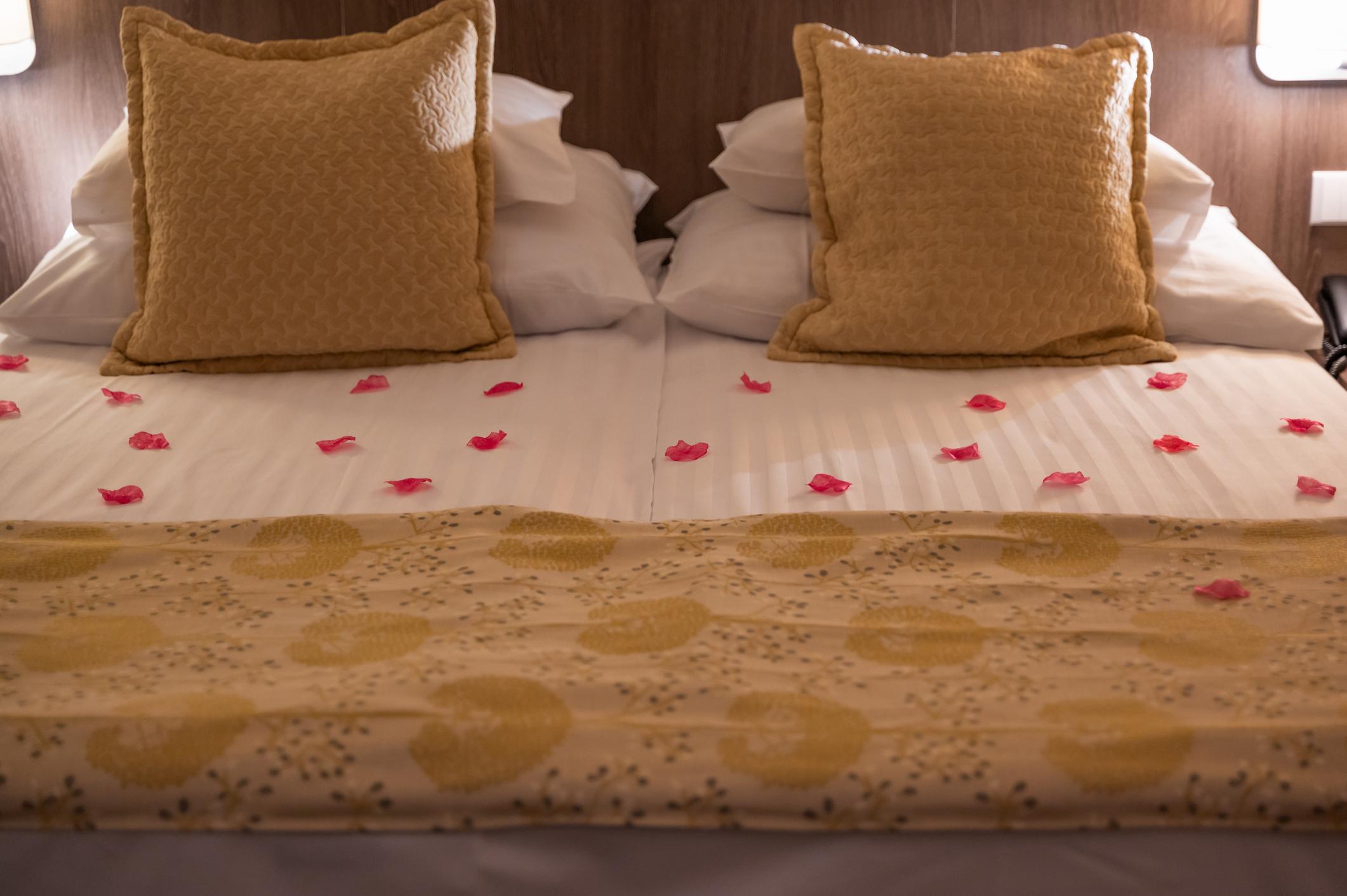 Our Story — Shonar Kothi